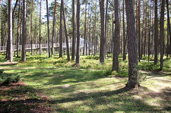 121-Парк приключении Тарзан